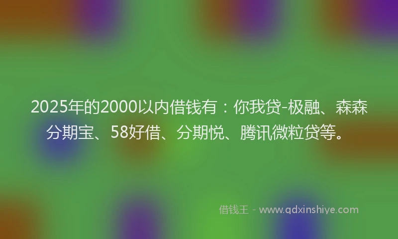 2025年的2000以内借钱有：你我贷-极融、森森分期宝、58好借、分期悦、腾讯微粒贷等。