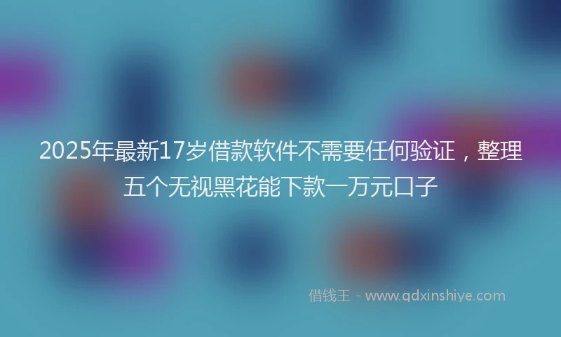 2025年最新17岁借款软件不需要任何验证，整理五个无视黑花能下款一万元口子