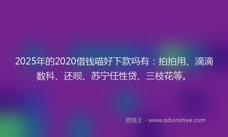 2025年的2020借钱喵好下款吗有：拍拍用、滴滴数科、还呗、苏宁任性贷、三枝花等。