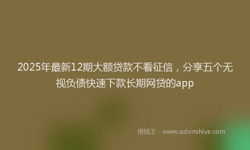 2025年最新12期大额贷款不看征信，分享五个无视负债快速下款长期网贷的app