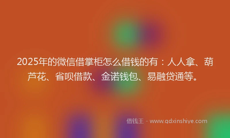 2025年的微信借掌柜怎么借钱的有：人人拿、葫芦花、省呗借款、金诺钱包、易融贷通等。