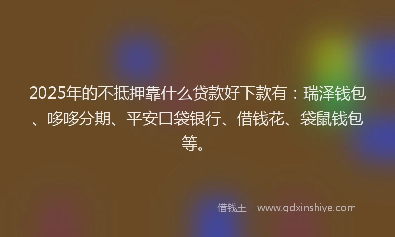 2025年的不抵押靠什么贷款好下款有:瑞泽钱包、哆哆分期、平安口袋银行、借钱花、袋鼠钱包等。