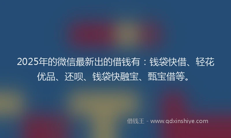 2025年的微信最新出的借钱有：钱袋快借、轻花优品、还呗、钱袋快融宝、甄宝借等。