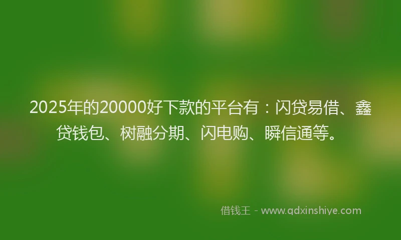 2025年的20000好下款的平台有：闪贷易借、鑫贷钱包、树融分期、闪电购、瞬信通等。