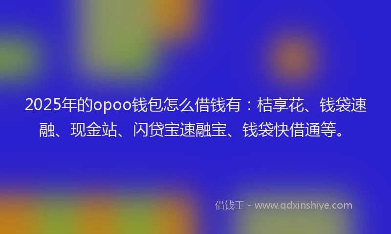 2025年的opoo钱包怎么借钱有：桔享花、钱袋速融、现金站、闪贷宝速融宝、钱袋快借通等。