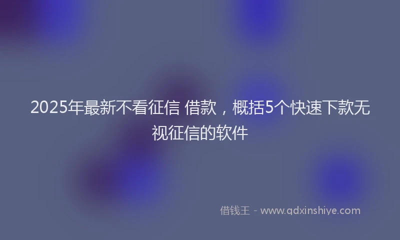 2025年最新不看征信 借款，概括5个快速下款无视征信的软件