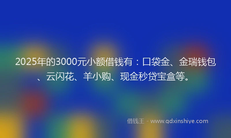2025年的3000元小额借钱有：口袋金、金瑞钱包、云闪花、羊小购、现金秒贷宝盒等。