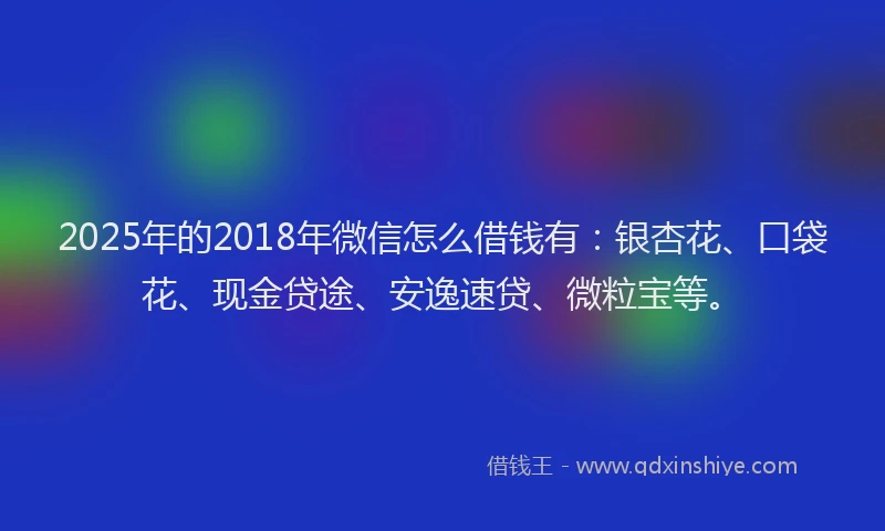2025年的2018年微信怎么借钱有：银杏花、口袋花、现金贷途、安逸速贷、微粒宝等。