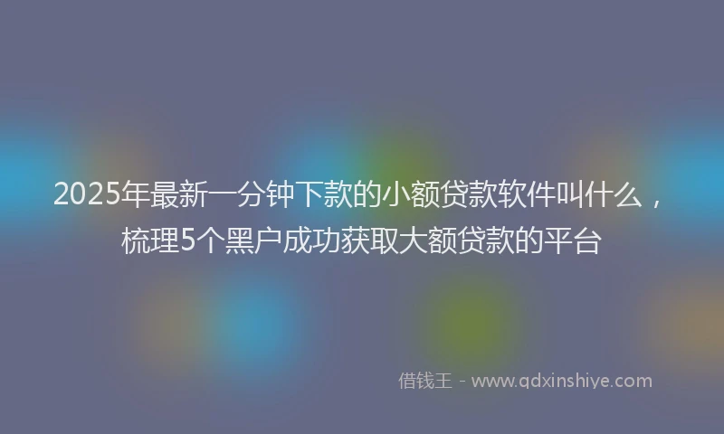 2025年最新一分钟下款的小额贷款软件叫什么，梳理5个黑户成功获取大额贷款的平台