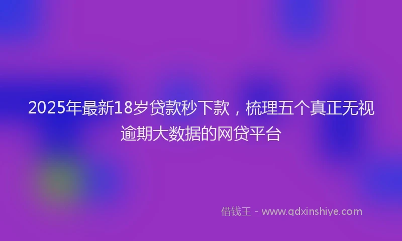 2025年最新18岁贷款秒下款，梳理五个真正无视逾期大数据的网贷平台