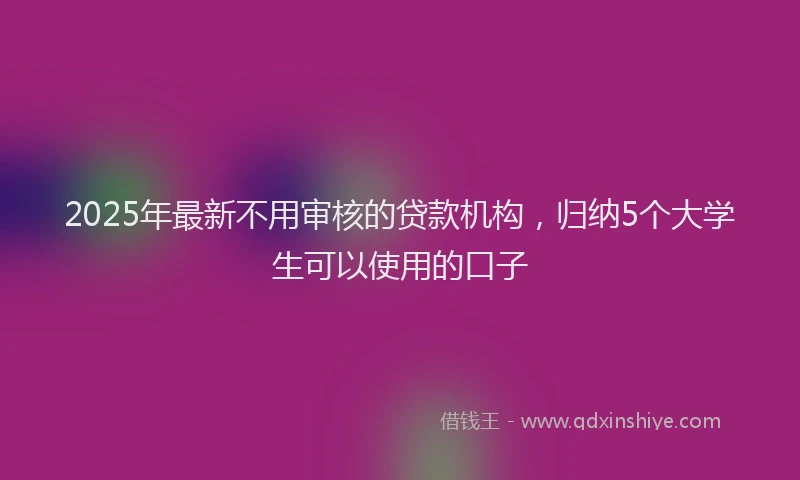 2025年最新不用审核的贷款机构，归纳5个大学生可以使用的口子