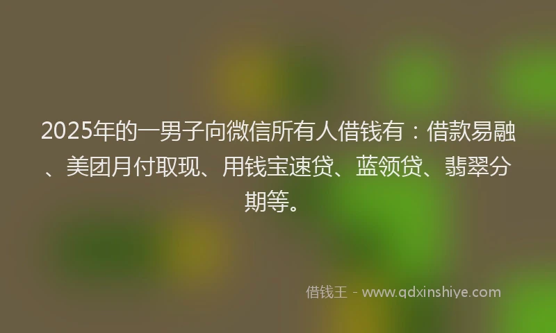2025年的一男子向微信所有人借钱有：借款易融、美团月付取现、用钱宝速贷、蓝领贷、翡翠分期等。