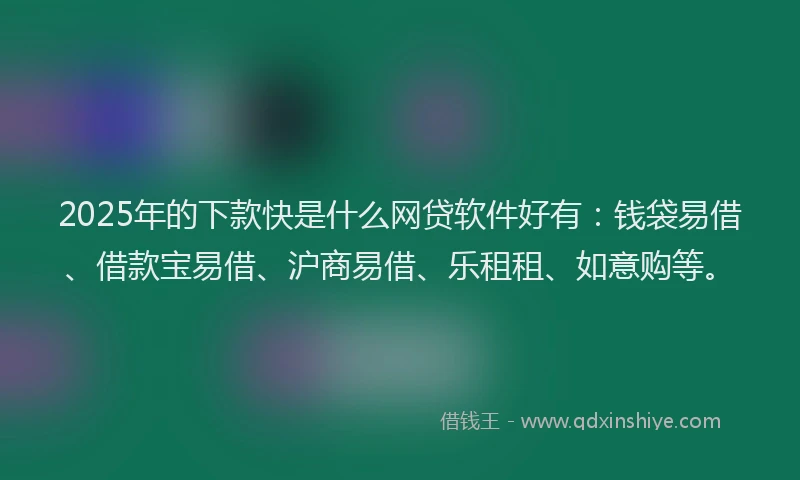 2025年的下款快是什么网贷软件好有：钱袋易借、借款宝易借、沪商易借、乐租租、如意购等。