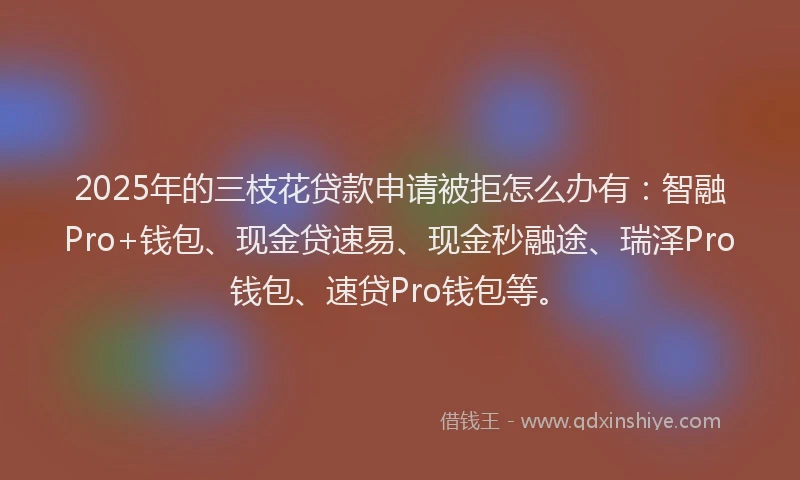 2025年的三枝花贷款申请被拒怎么办有：智融Pro+钱包、现金贷速易、现金秒融途、瑞泽Pro钱包、速贷Pro钱包等。
