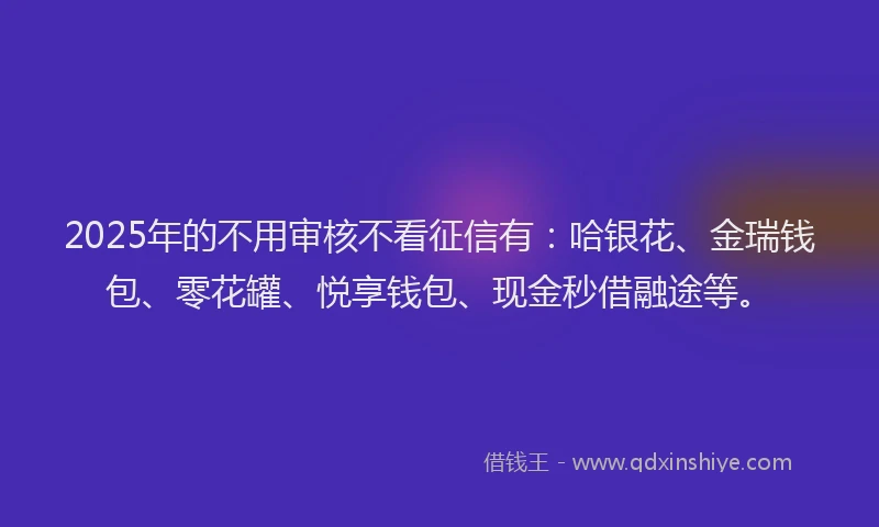 2025年的不用审核不看征信有：哈银花、金瑞钱包、零花罐、悦享钱包、现金秒借融途等。