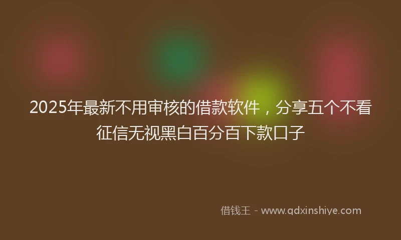 2025年最新不用审核的借款软件，分享五个不看征信无视黑白百分百下款口子