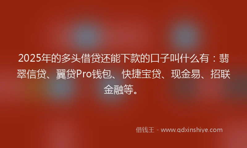 2025年的多头借贷还能下款的口子叫什么有：翡翠信贷、翼贷Pro钱包、快捷宝贷、现金易、招联金融等。