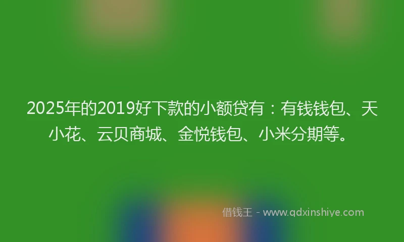 2025年的2019好下款的小额贷有：有钱钱包、天小花、云贝商城、金悦钱包、小米分期等。
