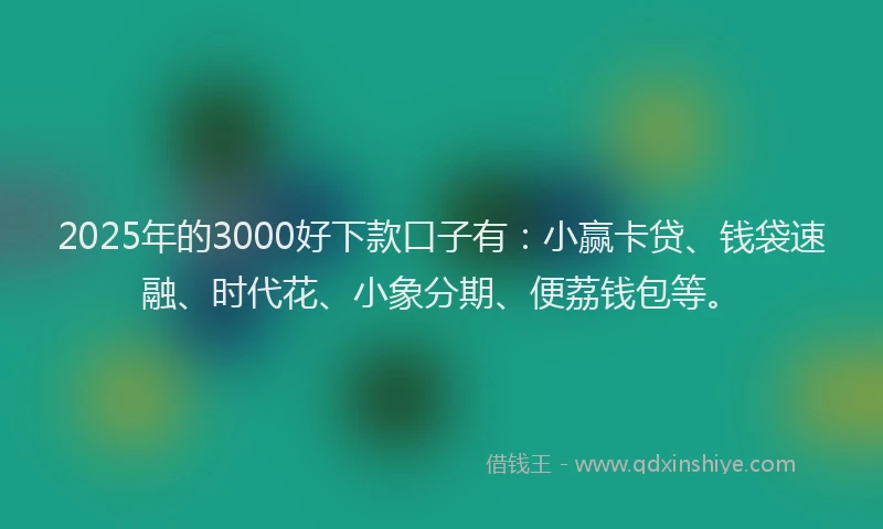 2025年的3000好下款口子有：小赢卡贷、钱袋速融、时代花、小象分期、便荔钱包等。
