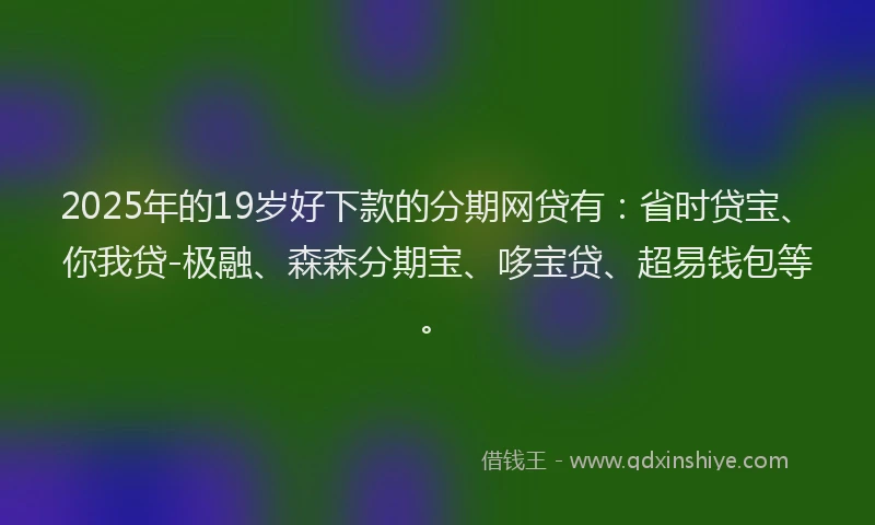 2025年的19岁好下款的分期网贷有：省时贷宝、你我贷-极融、森森分期宝、哆宝贷、超易钱包等。