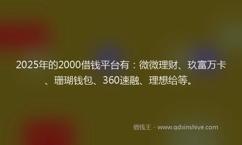 2025年的2000借钱平台有：微微理财、玖富万卡、珊瑚钱包、360速融、理想给等。