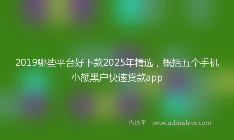 2019哪些平台好下款2025年精选，概括五个手机小额黑户快速贷款app