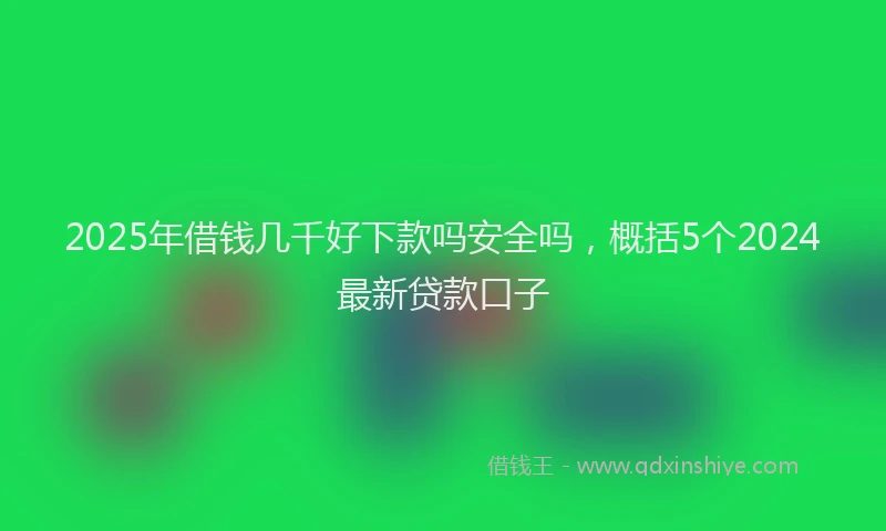 2025年借钱几千好下款吗安全吗，概括5个2024最新贷款口子