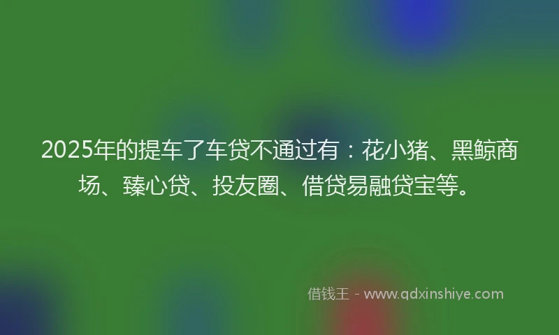 2025年的提车了车贷不通过有：花小猪、黑鲸商场、臻心贷、投友圈、借贷易融贷宝等。