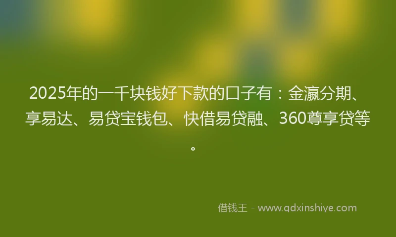 2025年的一千块钱好下款的口子有：金瀛分期、享易达、易贷宝钱包、快借易贷融、360尊享贷等。
