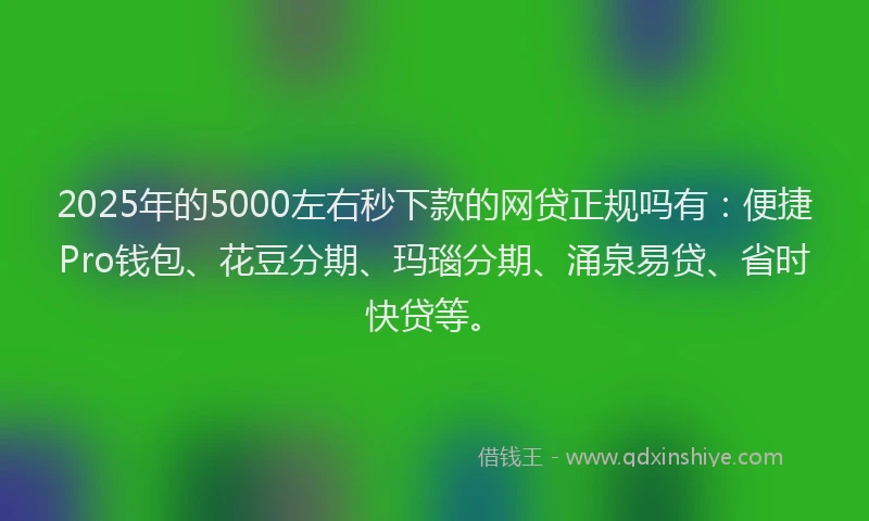 2025年的5000左右秒下款的网贷正规吗有：便捷Pro钱包、花豆分期、玛瑙分期、涌泉易贷、省时快贷等。