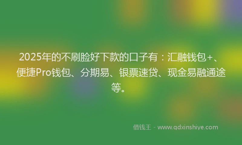 2025年的不刷脸好下款的口子有：汇融钱包+、便捷Pro钱包、分期易、银票速贷、现金易融通途等。