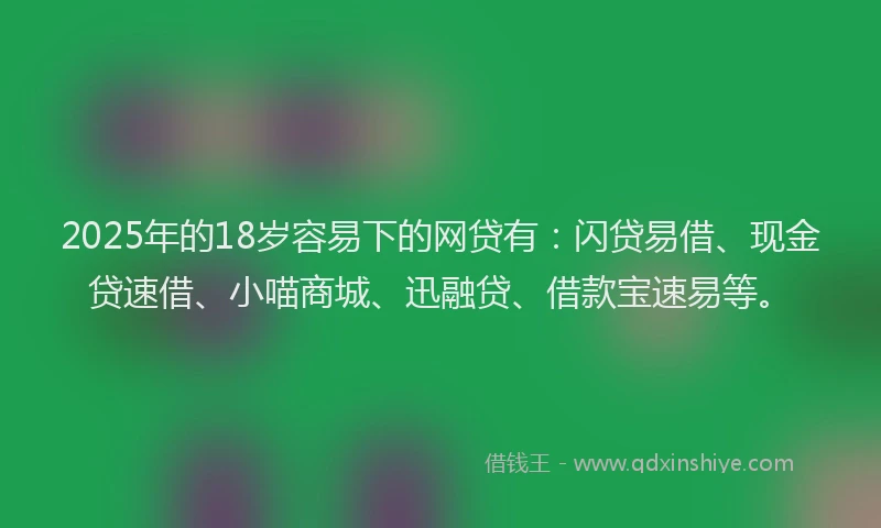 2025年的18岁容易下的网贷有：闪贷易借、现金贷速借、小喵商城、迅融贷、借款宝速易等。