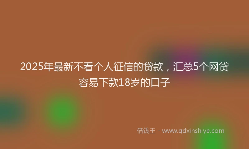 2025年最新不看个人征信的贷款，汇总5个网贷容易下款18岁的口子