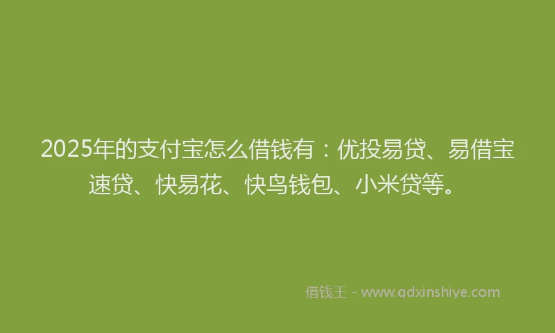 2025年的支付宝怎么借钱有：优投易贷、易借宝速贷、快易花、快鸟钱包、小米贷等。