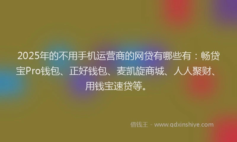 2025年的不用手机运营商的网贷有哪些有：畅贷宝Pro钱包、正好钱包、麦凯旋商城、人人聚财、用钱宝速贷等。