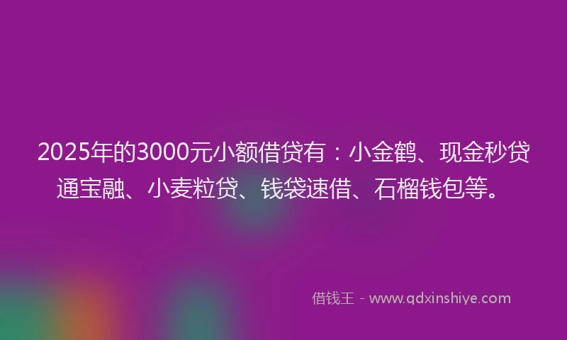 2025年的3000元小额借贷有：小金鹤、现金秒贷通宝融、小麦粒贷、钱袋速借、石榴钱包等。