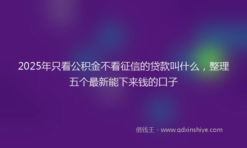 2025年只看公积金不看征信的贷款叫什么，整理五个最新能下来钱的口子