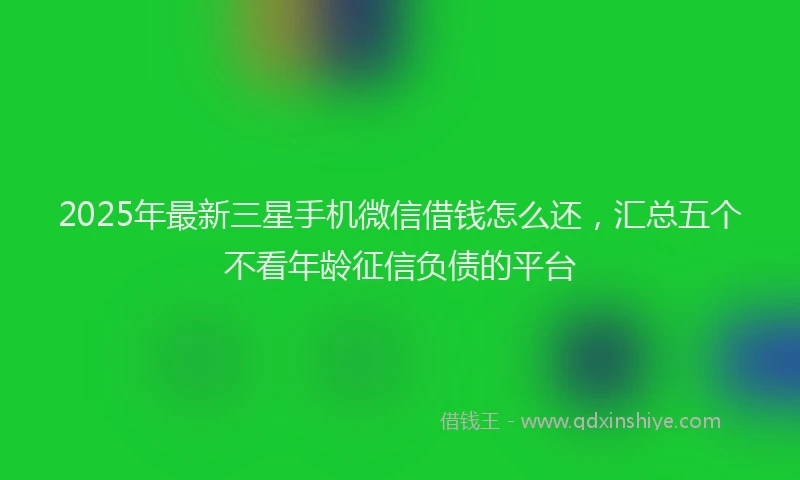 2025年最新三星手机微信借钱怎么还，汇总五个不看年龄征信负债的平台