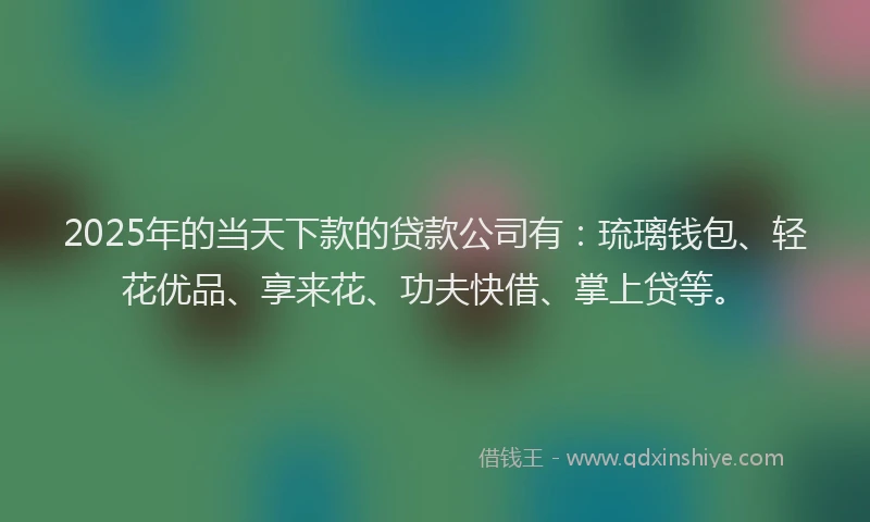 2025年的当天下款的贷款公司有：琉璃钱包、轻花优品、享来花、功夫快借、掌上贷等。