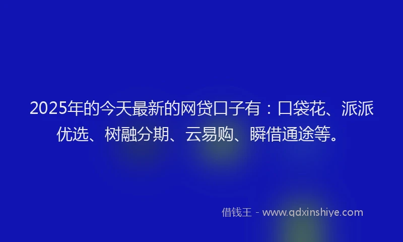 2025年的今天最新的网贷口子有：口袋花、派派优选、树融分期、云易购、瞬借通途等。