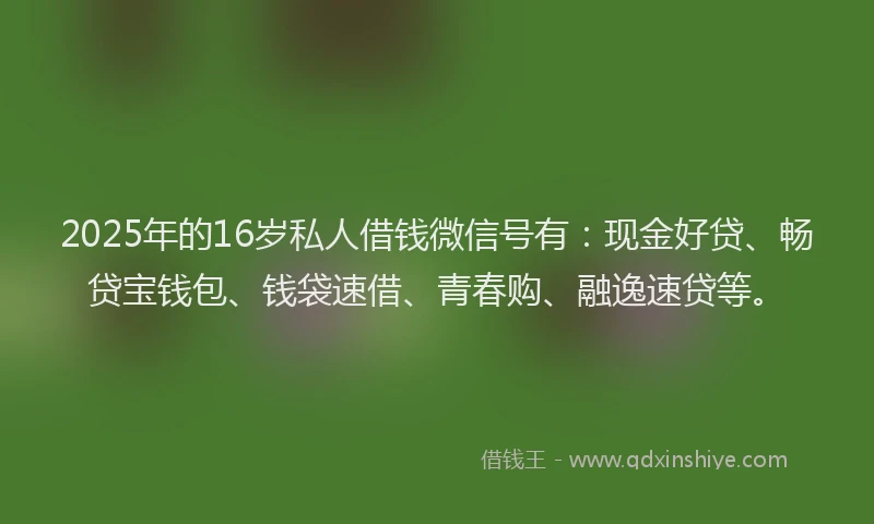 2025年的16岁私人借钱微信号有：现金好贷、畅贷宝钱包、钱袋速借、青春购、融逸速贷等。