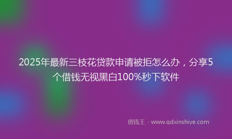 2025年最新三枝花贷款申请被拒怎么办，分享5个借钱无视黑白100%秒下软件