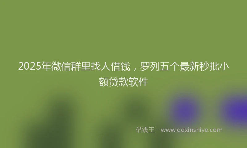 2025年微信群里找人借钱，罗列五个最新秒批小额贷款软件