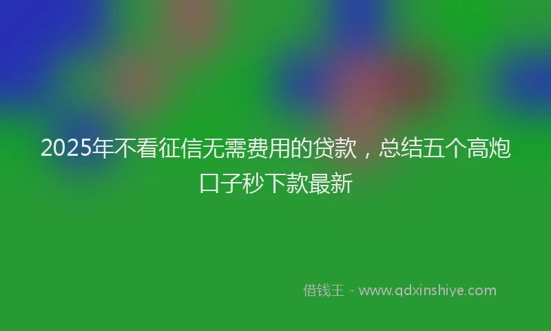 2025年不看征信无需费用的贷款，总结五个高炮口子秒下款最新