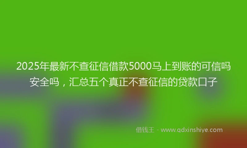 2025年最新不查征信借款5000马上到账的可信吗安全吗，汇总五个真正不查征信的贷款口子