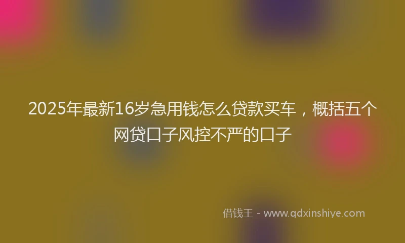 2025年最新16岁急用钱怎么贷款买车，概括五个网贷口子风控不严的口子