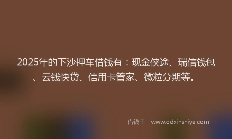 2025年的下沙押车借钱有：现金侠途、瑞信钱包、云钱快贷、信用卡管家、微粒分期等。