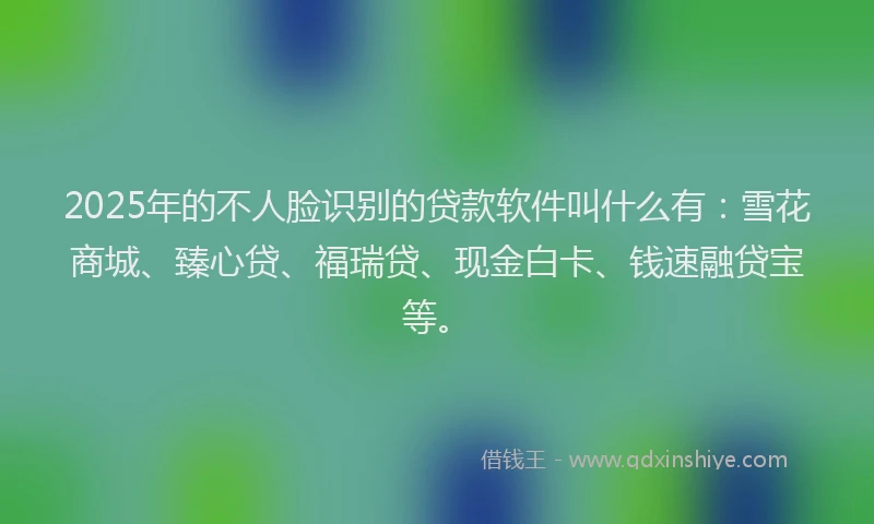 2025年的不人脸识别的贷款软件叫什么有：雪花商城、臻心贷、福瑞贷、现金白卡、钱速融贷宝等。