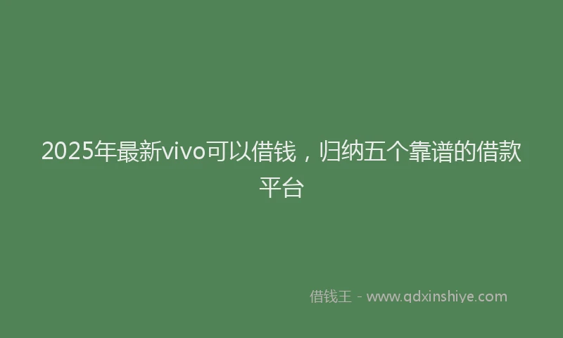 2025年最新vivo可以借钱，归纳五个靠谱的借款平台