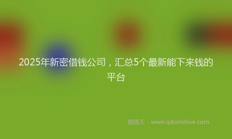 2025年新密借钱公司，汇总5个最新能下来钱的平台